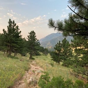 Meet your Posher, Eion